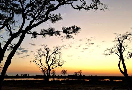 Sonnenaufgang in Moremi &copy; Foto: Jacqueline Korb | Outback Africa