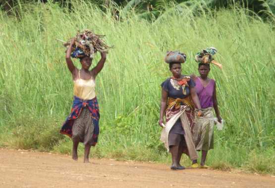 Frauen mit Brennholz, Mulanje, Malawi &copy; Foto: Susanne Schlesinger | Outback Africa
