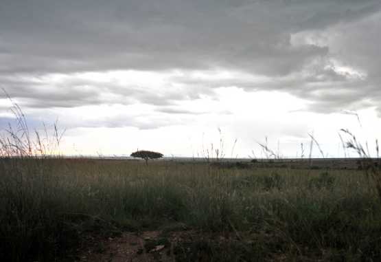 Regenfront über der Massai Mara &copy; Foto: Svenja Penzel | Outback Africa