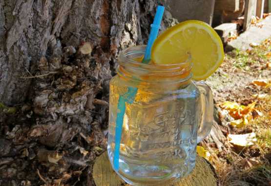 Rock Shandy &copy; Foto: S.Schlesinger | Outback Africa