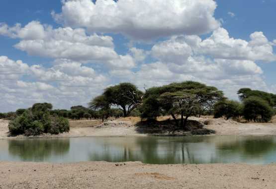 Tarangire River im Tarangire Nationalpark &copy; Foto: Ulrike Pârvu | Outback Africa Erlebnisreisen