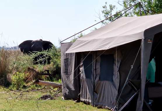 Elefantenbesuch im Zeltcamp in Moremi &copy; Foto: Jacqueline Korb | Outback Africa