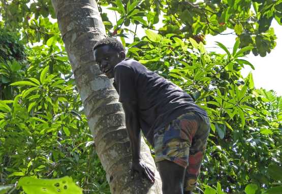 Kletterer bei der Spicetour auf Sansibar &copy; Foto: Angelika Krüger | Outback Africa