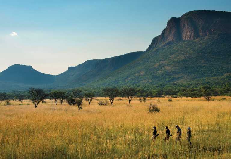 Madikwe Safari Lodge, Pirschwanderung © Foto: DOOKPHOTO