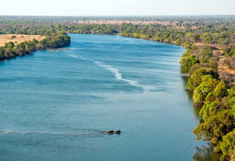 Elefenten überqueren den Kafue © Foto: Jeffery & McKeith Safaris