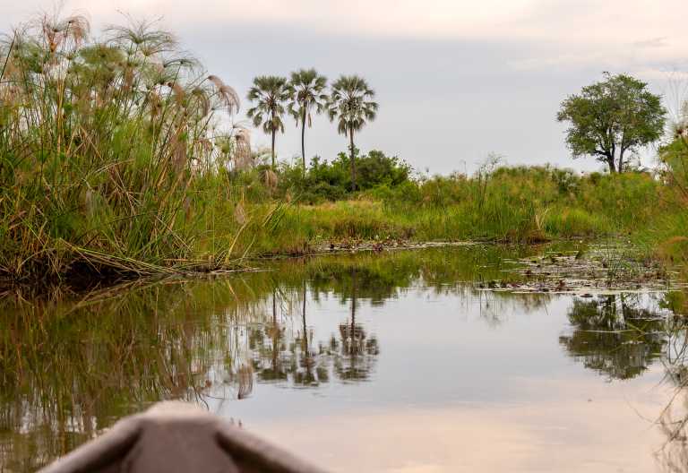 Mokoro-Exkursion im Okavango-Delta © Foto: Marco Penzel | Outback Africa