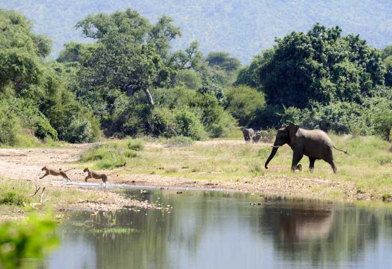 Chiawa Camp © Foto: Marco Penzel | Outback Africa