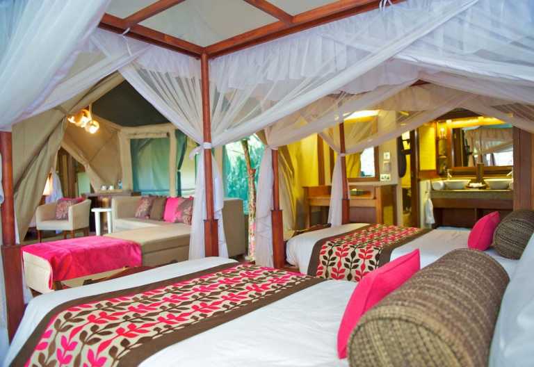 Samburu Intrepids Camp, Familienzelt