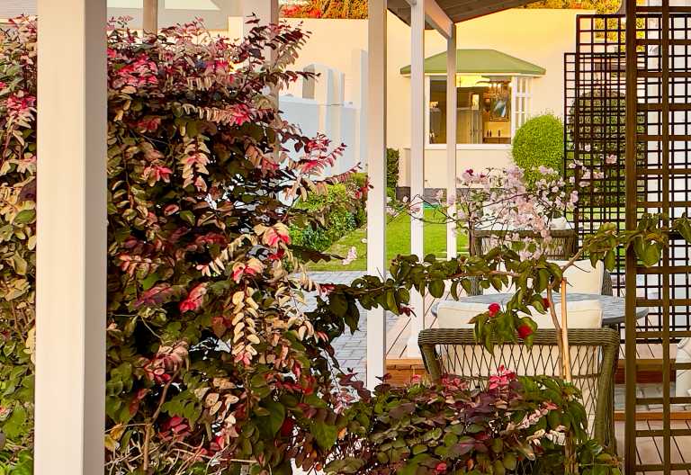 Terrasse des Brigadoon Boutique Guesthouse © Foto: Brigadoon Boutique Guesthouse
