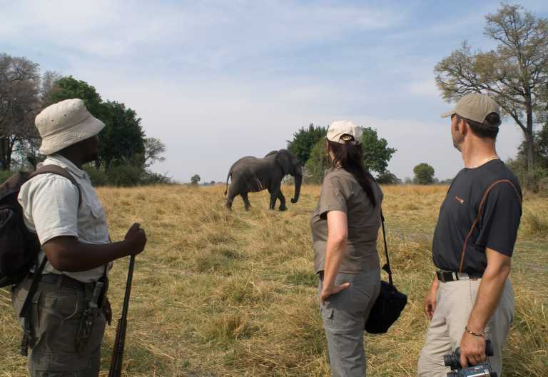 Pirschwanderung, Kwara Camp © Foto: Kwando Safaris