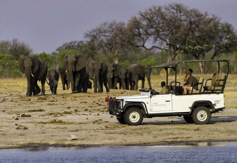 Little Makalolo Camp, Pirschfahrt © Foto: Dana Allen für Wilderness Safaris
