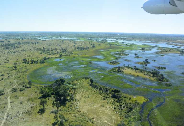Flug über das Okavango-Delta zum Pelo Camp © Foto: Ulrike Pârvu | Outback Africa
