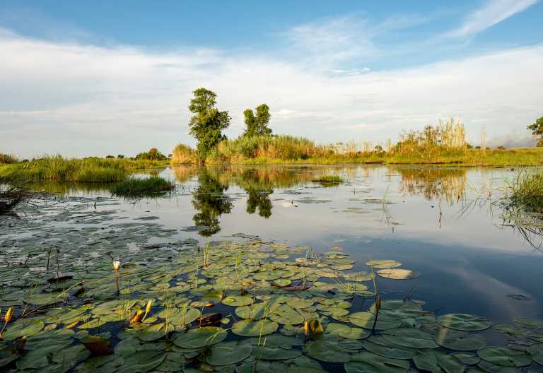 Wasserlandschaft im nördlichen Okavango-Delta © Foto: Marco Penzel | Outback Africa