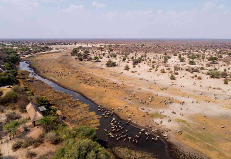 Luftansicht des Leroo La Tau Camps und des Boteti River © Foto: Desert&Delta