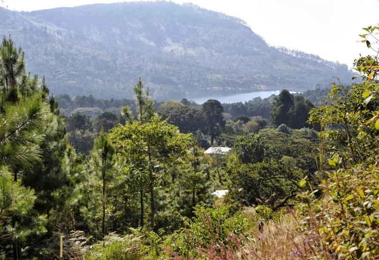 Wanderung zum Nawimbe Peak, Blick zum Mulunguzi-Stausee © Foto: Svenja Penzel | Outback Africa