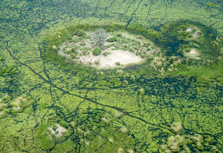 Kleine Insel im nördlichen Okavango-Delta © Foto: Marco Penzel | Outback Africa