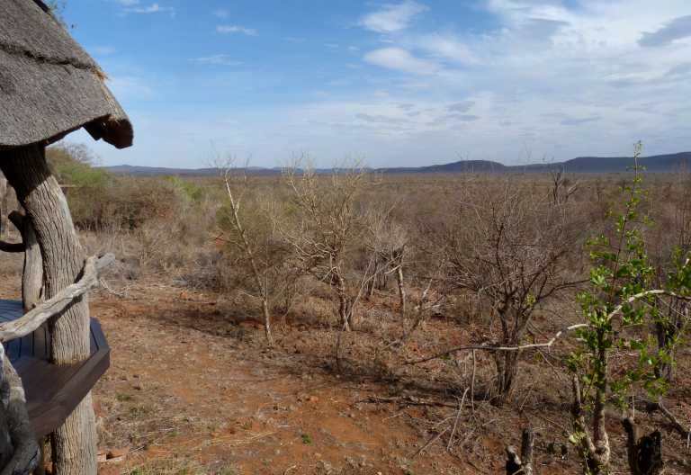 Madikwe Kopano Lodge © Foto: Jens Doering | Outback Africa