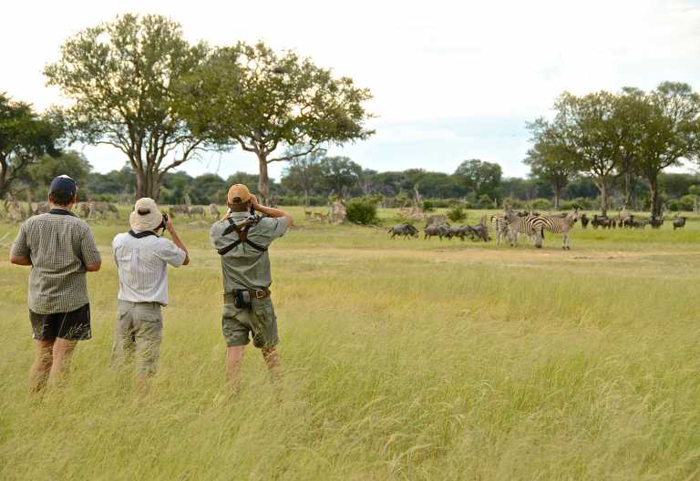 Pirschwanderung im Hwange Nationalpark