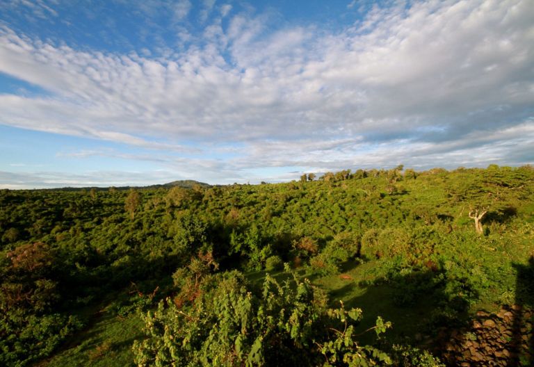 Aberdare Nationalpark