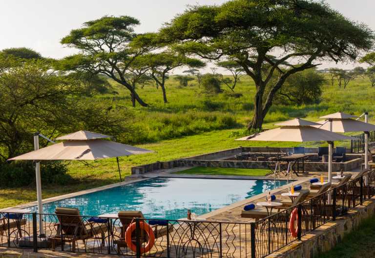 Pool des Serengeti Sametu Camps © Foto: Karibu Camps & Lodges