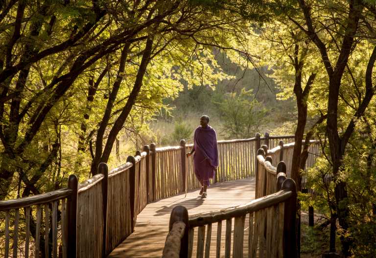 Erhöhter Holzsteg auf dem Gelände der Four Seasons Safari Lodge Serengeti © Foto: Four Seasons Group