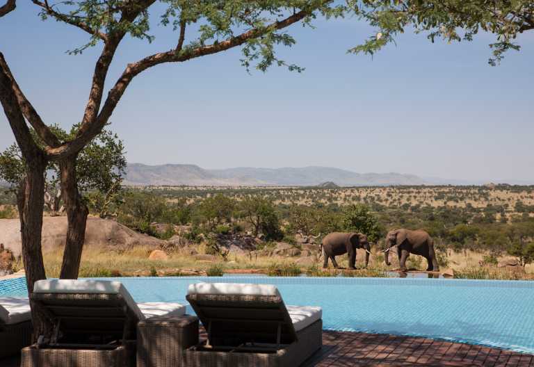 Infinity Pool mit Blick auf das Wasserloch, Four Seasons Safari Lodge Serengeti © Foto: Four Seasons Group