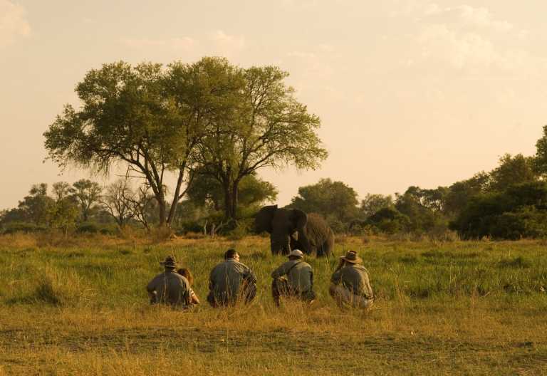 Khwai Tented Camp, Pirschwanderung © Foto: African Bush Camps