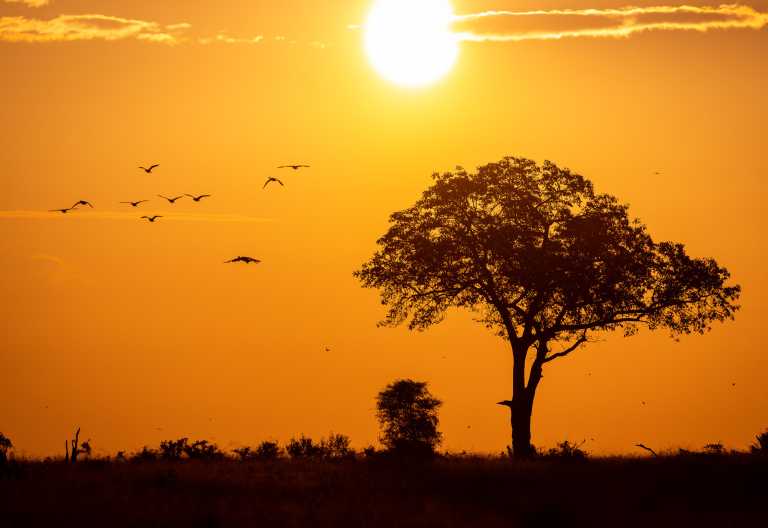 Sonnenuntergang an der Umkumbe Safari Lodge © Foto: stew nolan