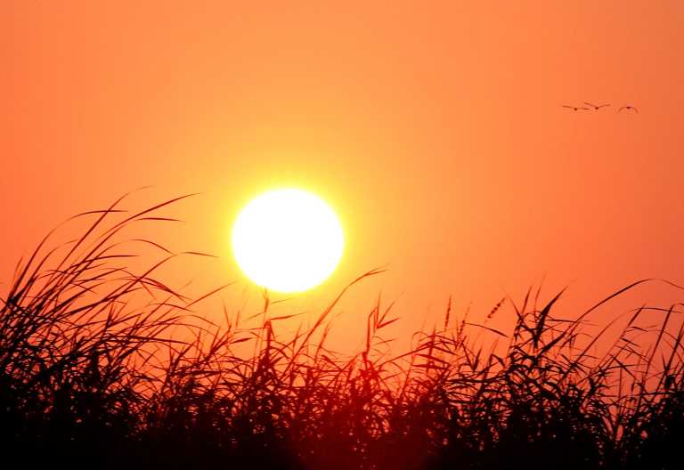 Sonnenuntergang im Okavango-Delta Setari Camp © Foto: Setari Camp