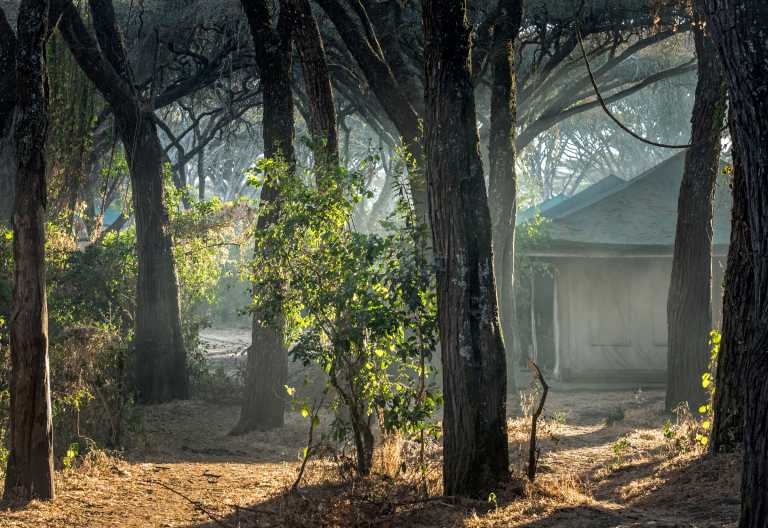Sanctuary Ngorongoro Crater Camp © Foto: Sanctuary Retreats