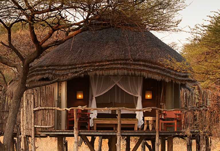 Bild zur Lodge