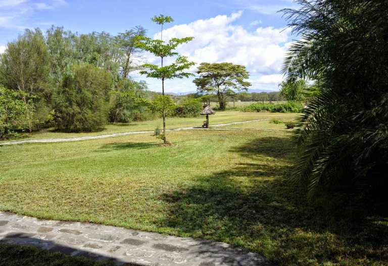 Flamingo Hill Camp, Blick in den Garten @ Foto: Svenja Penzel | Outback Africa Erlebnisreisen