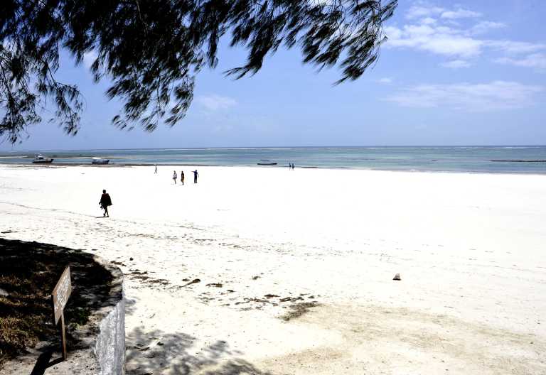 Diani Beach am Nomad Beach Resort © Foto: Svenja Penzel | Outback Africa Erlebnisreisen