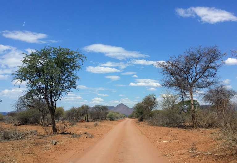 Marataba Safari Lodge, Zufahrt mit Blick zu den Waterbergen © Foto: Jens Doering | Outback Africa
