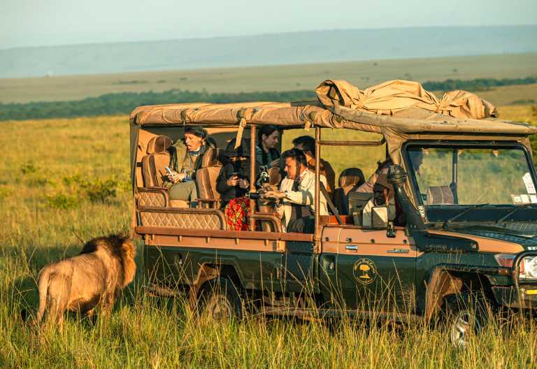 Pirschfahrtglück in der Massai Mara, Soroi Mara Bush Camp © Foto: Soroi Collection
