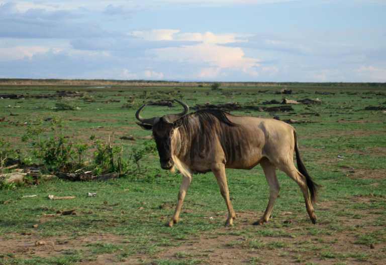 Lake Manyara Nationalpark © Foto: Doreen Schütze | Outback Africa
