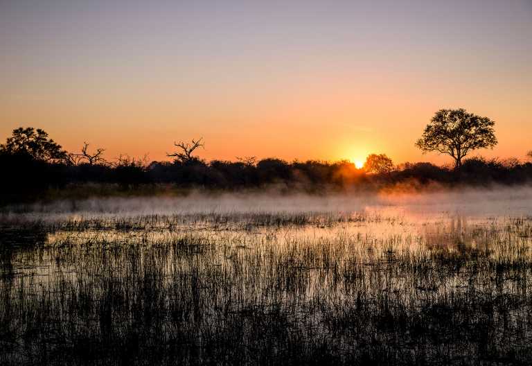 Morgenstimmung im Okavango-Delta, Sanctuary Chiefs Camp © Foto: Sanctuary Retreats