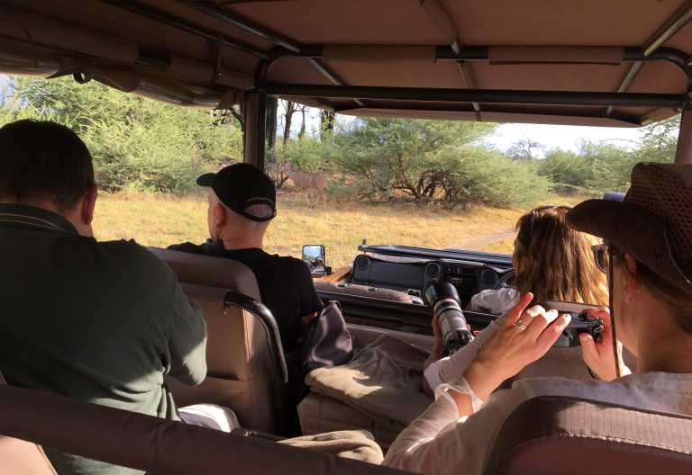 Auf Pirschfahrt auf Chiefs Island mit Sanctuary © Foto: Svenja Penzel | Outback Africa