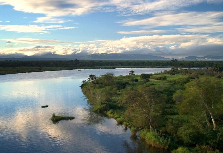 Blick über den Shire River und den Liwonde Nationalpark © Foto: Dana Allen