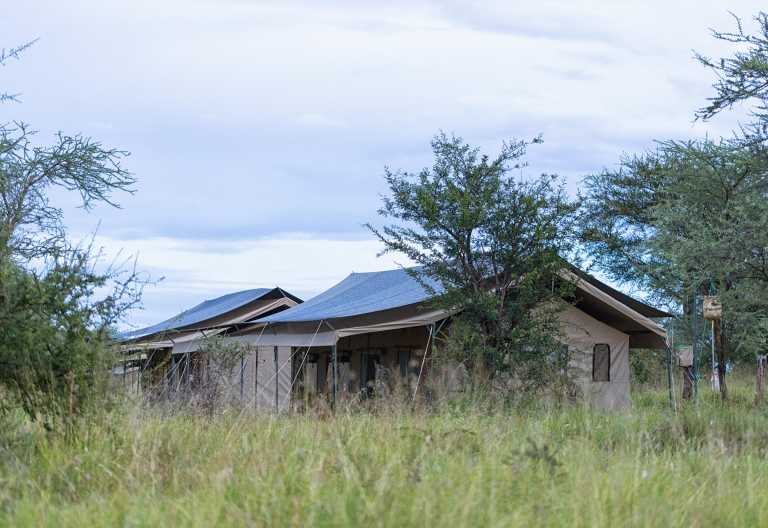 Zelt von außen, Serengeti Wilderness Camp © Foto: Serengeti Wilderness Camps