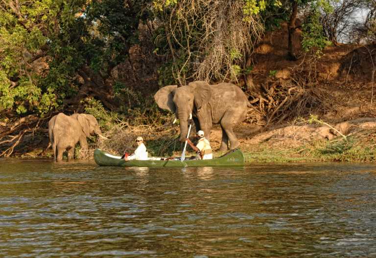 Kanu-Safari auf dem Sambesi, Mana Pools Nationalpark © Foto: African Bush Camps