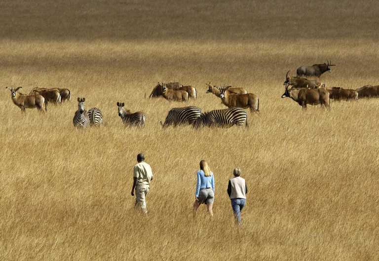 Pirschwanderung im Nyika Nationalpark © Foto: Dana Allen