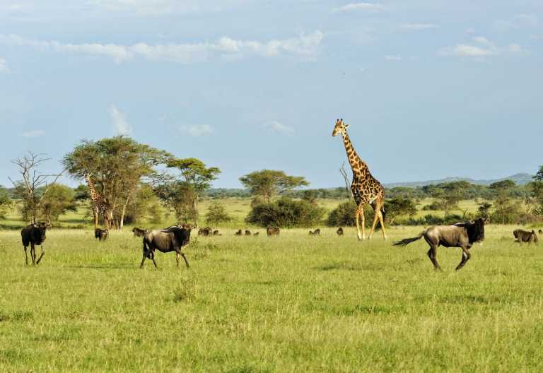 Tiervielfalt im Grumetigebiet © Foto: Marco Penzel | Outback Africa