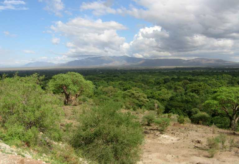 Lake Manyara Nationalpark © Foto: Doreen Schütze | Outback Africa