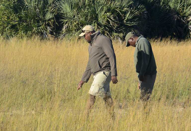 Auf Spurensuche, Hunda Island, Okavango-Delta © Foto: Ulrike Pârvu | Outback Africa