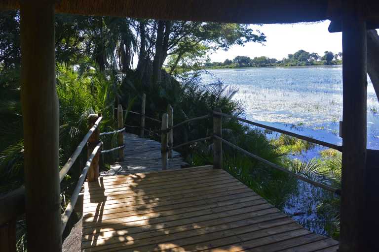 Jacana Camp, Weg zu den Zeltchalets © Foto: Ulrike Pârvu | Outback Africa