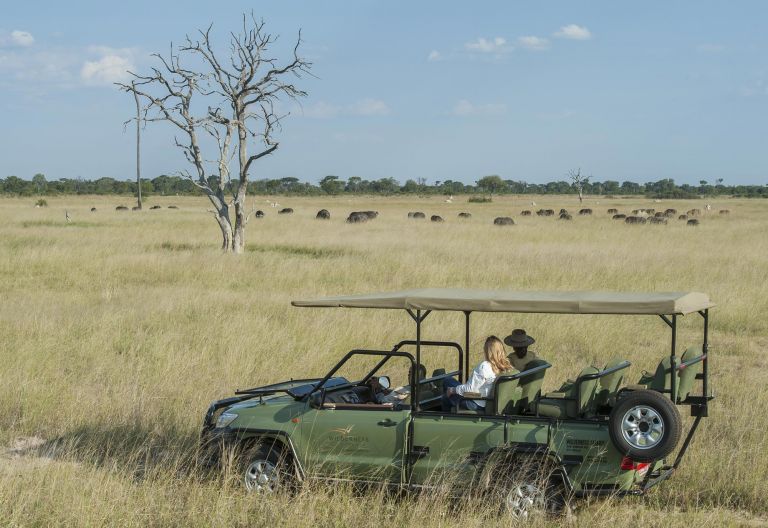 LInkwasha Camp, Pirschfahrt im Hwange Nationalpark © Foto: Mike Myers für Wilderness Safaris