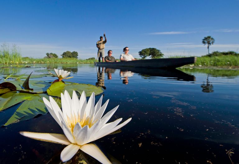 Mokoro-Fahrt beim Jacana Camp im Okavango-Delta © Foto: Dana Allen | Wilderness Safaris