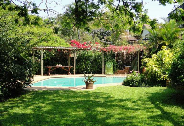 Umbrella Tree House, Garten mit Pool