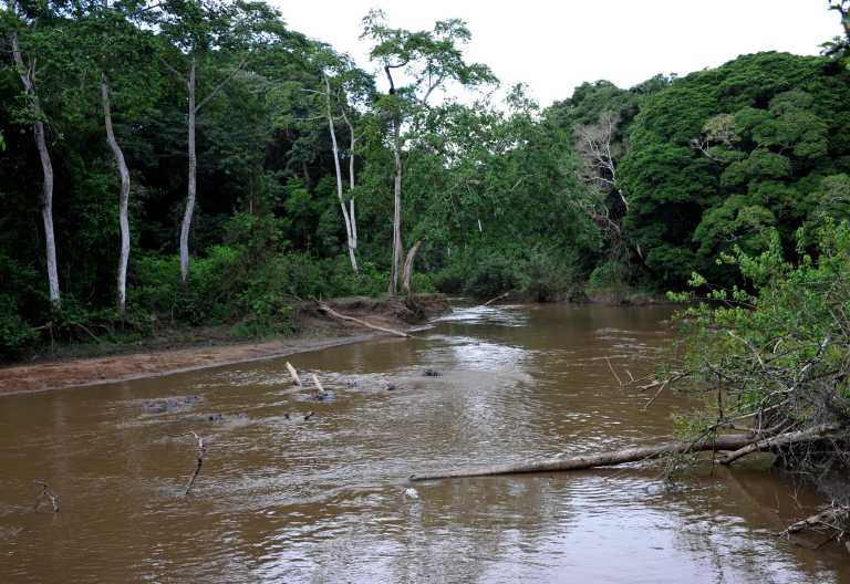Hippos im Kyambura River, Uganda © Foto: Svenja Penzel | Outback Africa